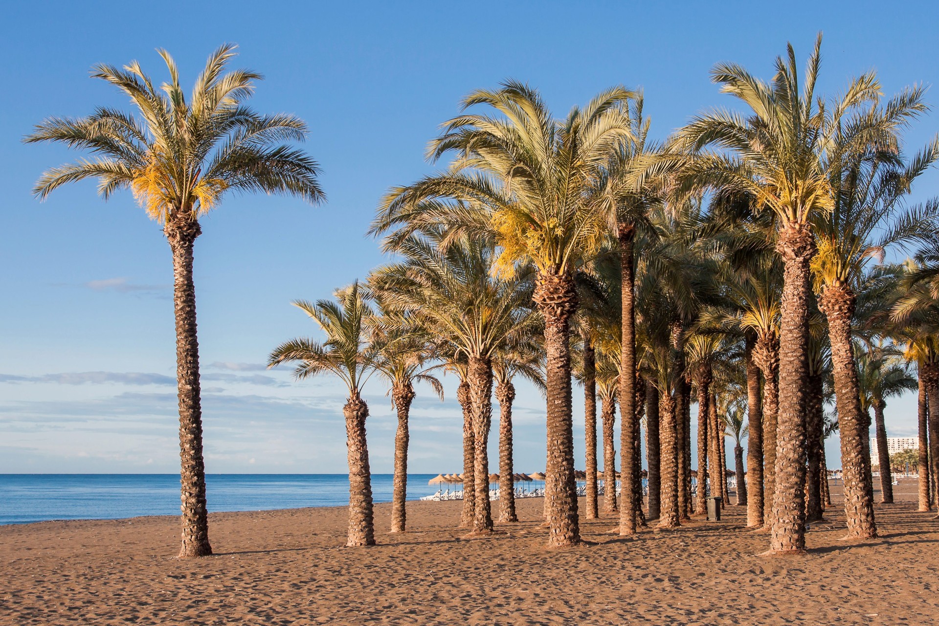 Gewond raken overschreden Persoonlijk Carihuela.tips Vakantie Zuid-Spanje | Vakantie 2023 in Zuid-Spanje