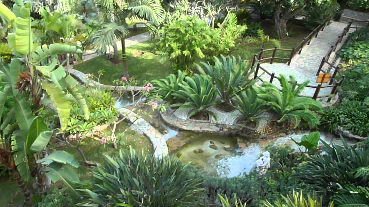 Molino del Inca - Jardin Botanico